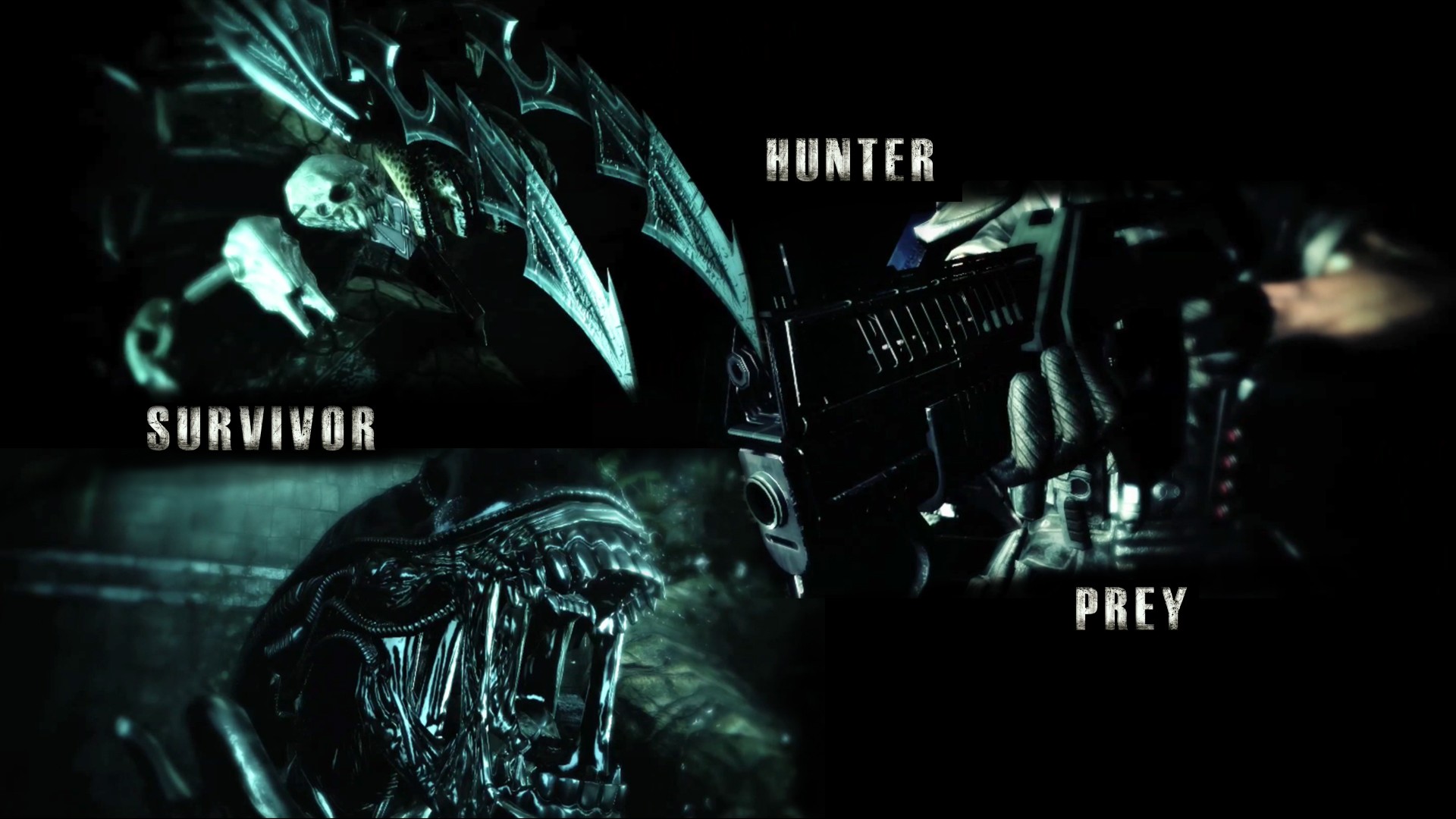 Predator (movie), Movies, Alien (movie) Wallpaper