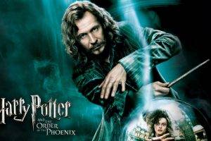 movies, Harry Potter And The Order Of The Phoenix, Sirius Black, Bellatrix Lestrange, Gary Oldman, Helena Bonham Carter