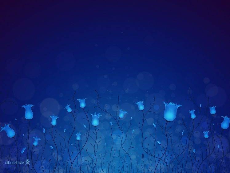 Vladstudio, Flowers, Blue Background HD Wallpaper Desktop Background