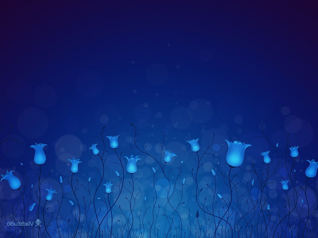Vladstudio, Flowers, Blue Background Wallpaper