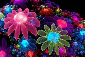 fractal Flowers