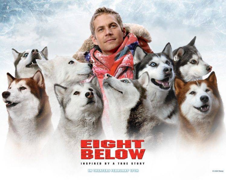 Paul Walker, Snow, Movies HD Wallpaper Desktop Background