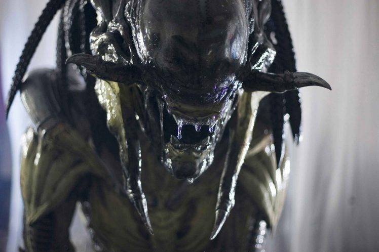 Alien Vs. Predator, Alien (movie), Creature, Aliens HD Wallpaper Desktop Background