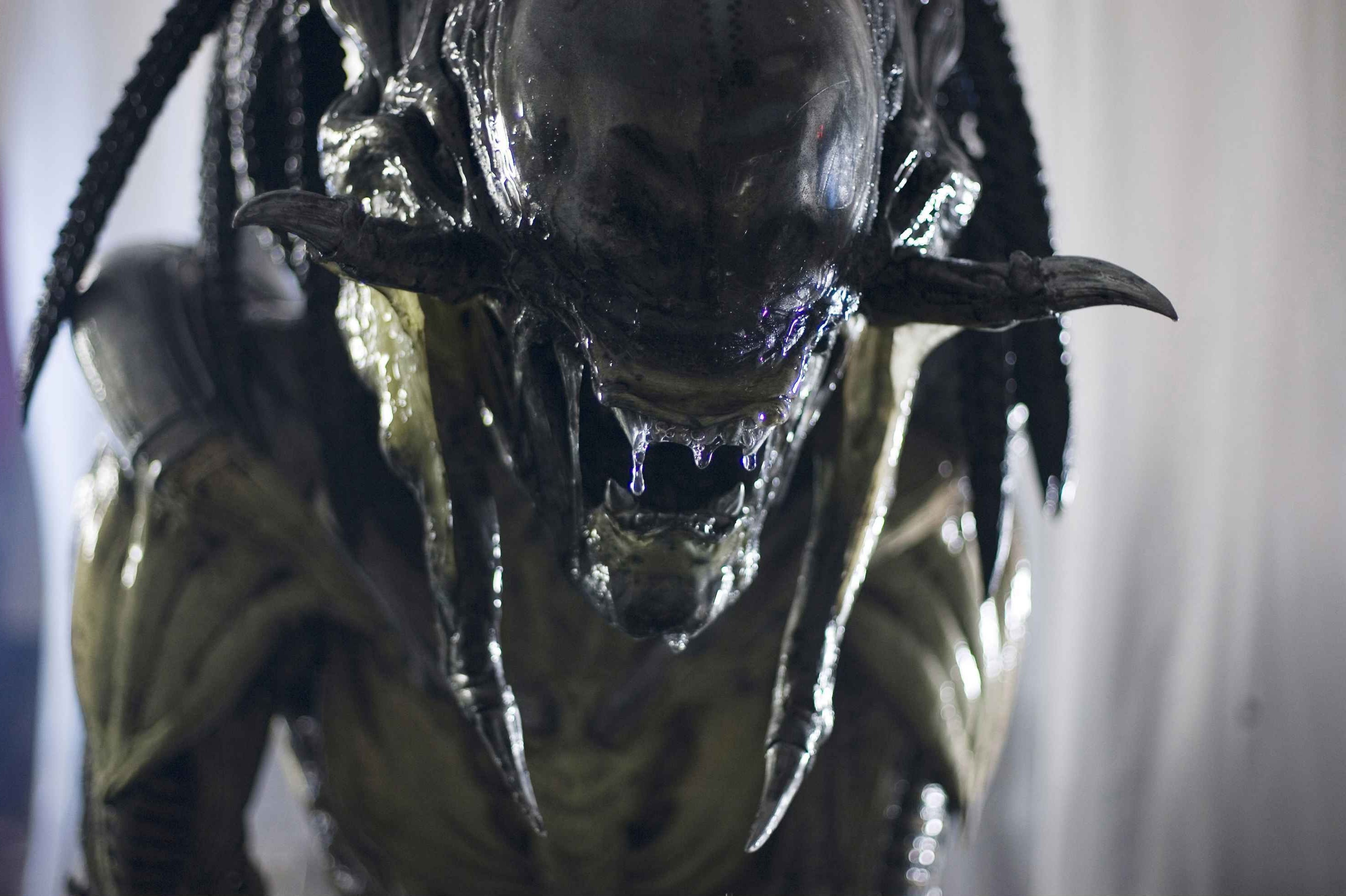 Alien Vs. Predator, Alien (movie), Creature, Aliens Wallpaper