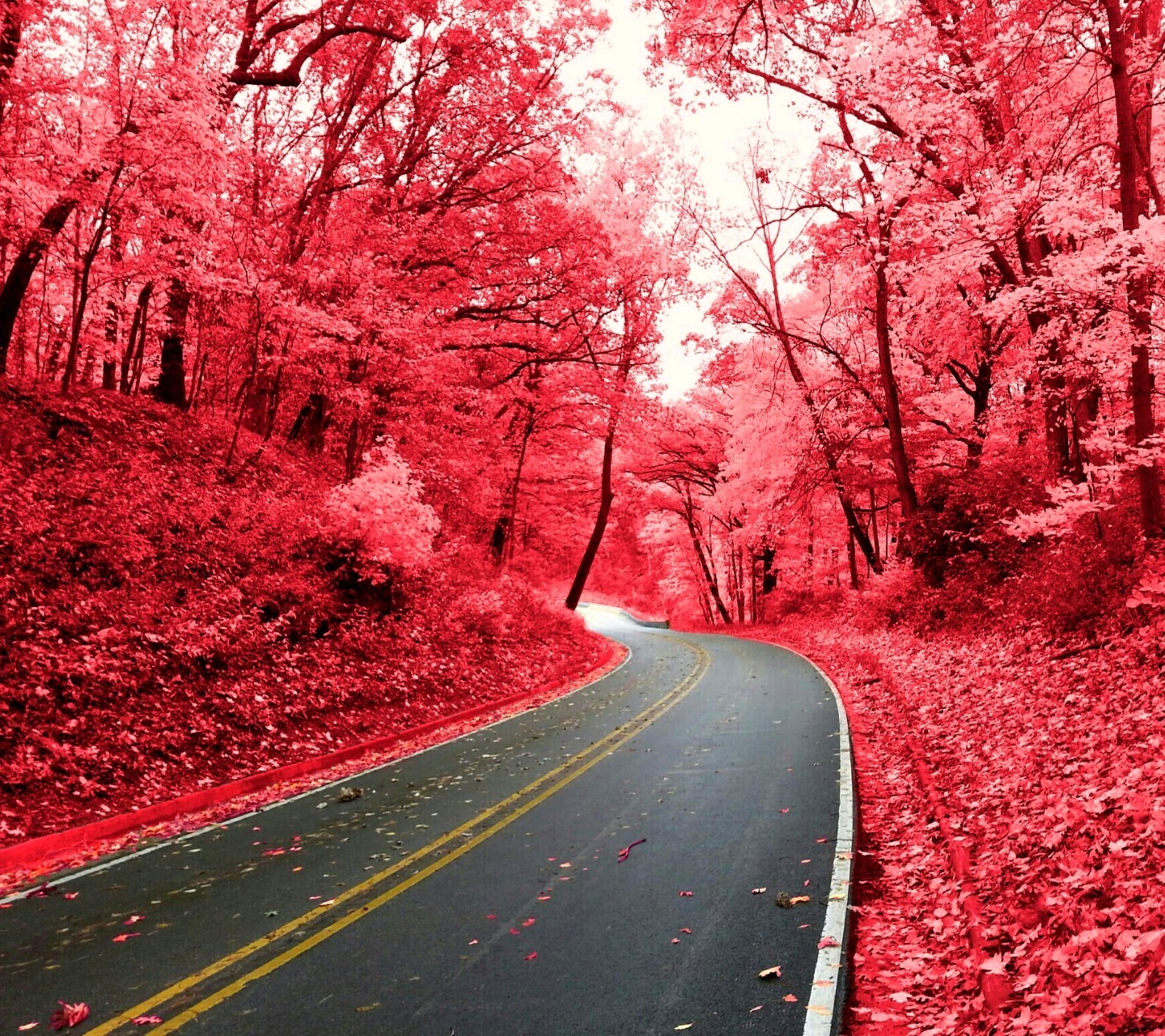 nature, Pink, Road Wallpaper