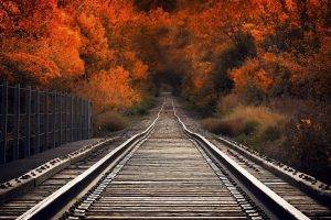 nature, Railway