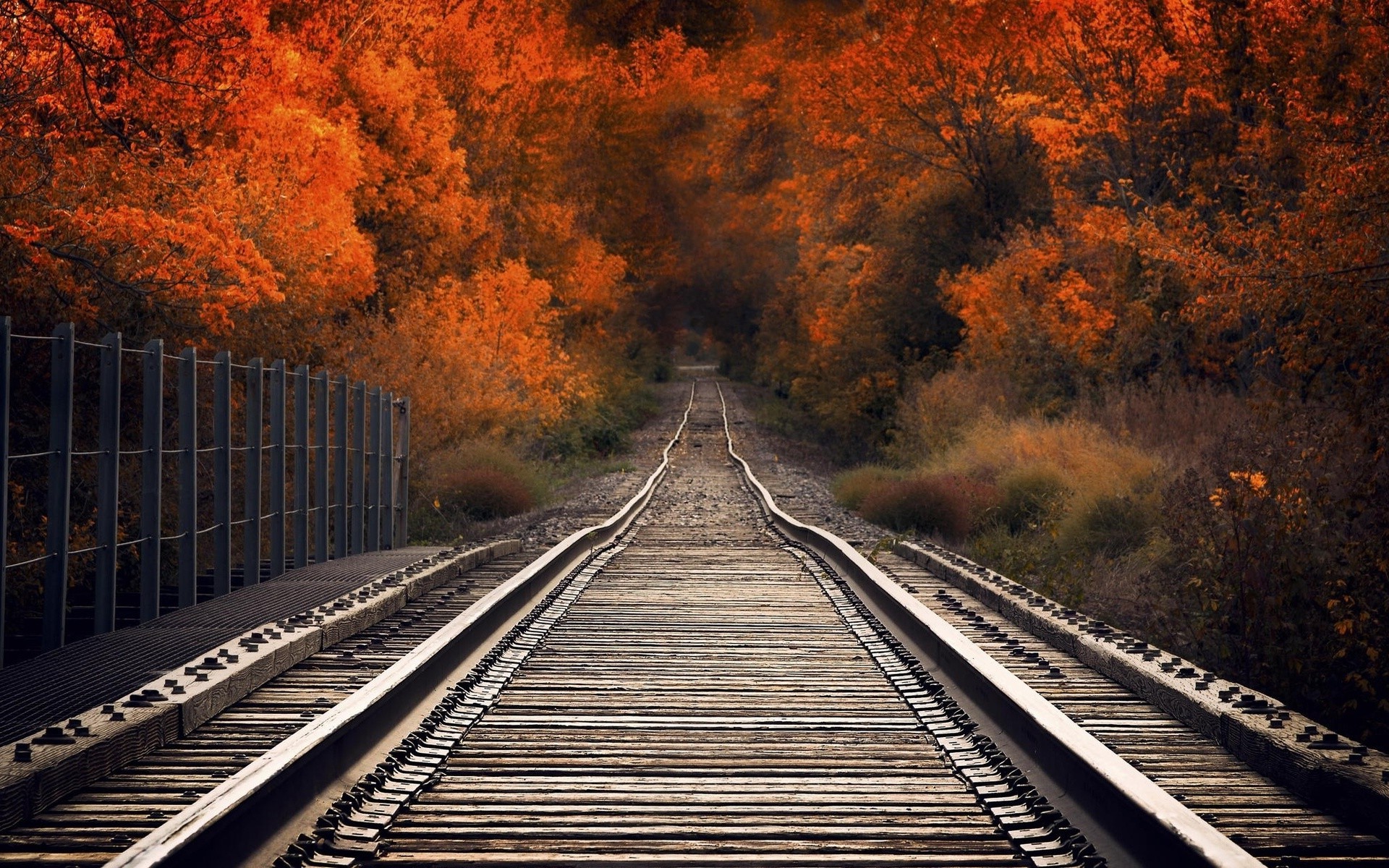 nature, Railway Wallpaper