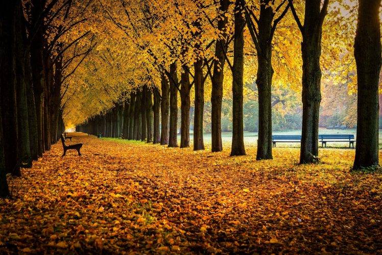 nature, Bench, Fall HD Wallpaper Desktop Background