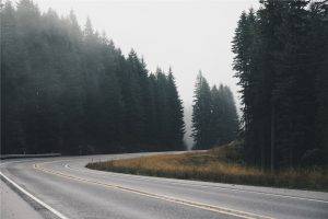 nature, Road, Trees