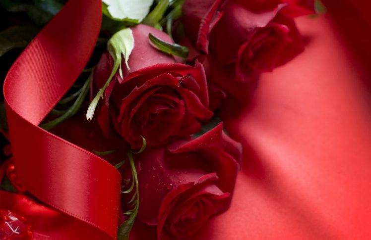 flowers HD Wallpaper Desktop Background