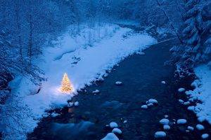 river, Christmas, Trees, Snow, Christmas Tree, Forest