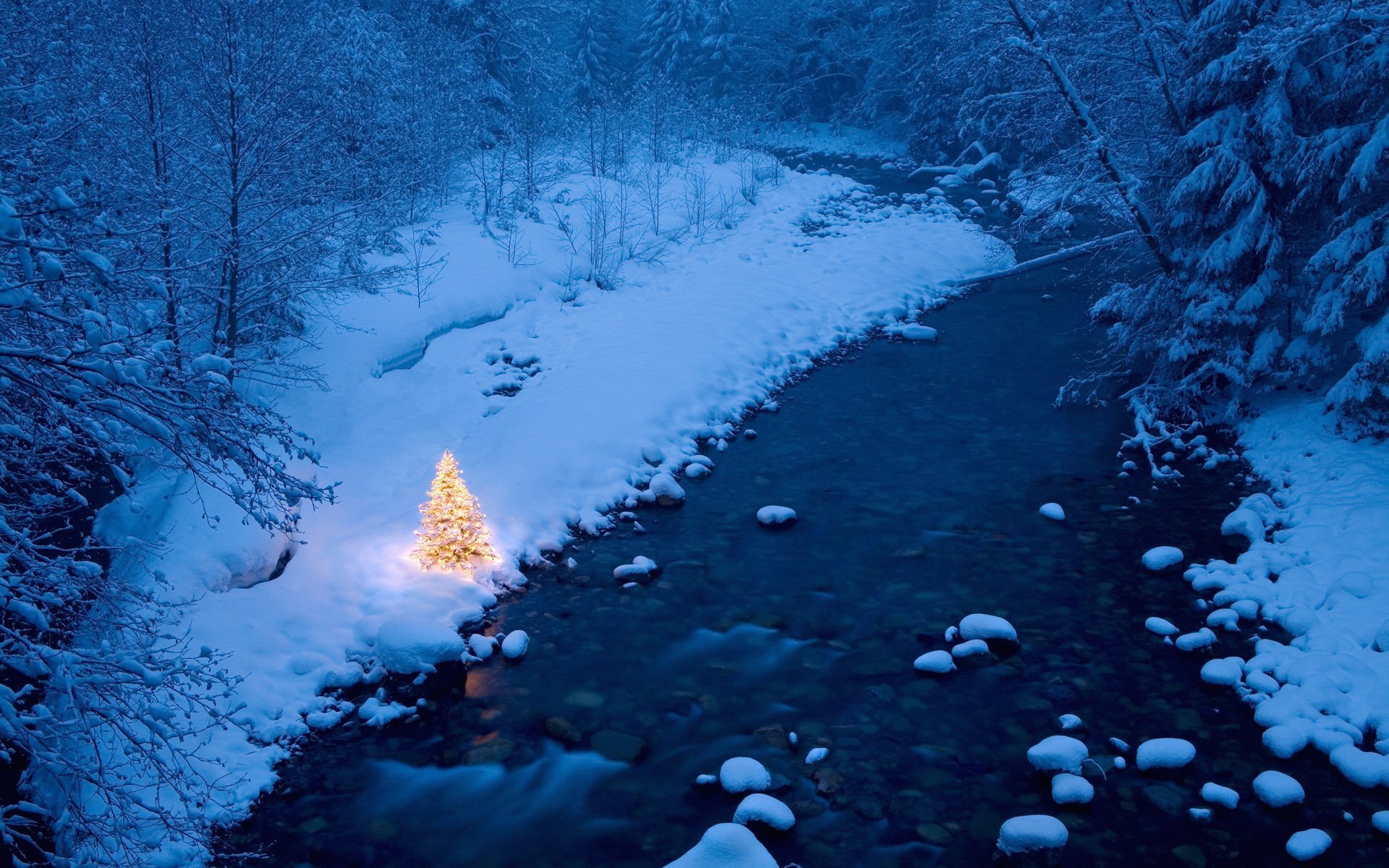 river, Christmas, Trees, Snow, Christmas Tree, Forest Wallpaper