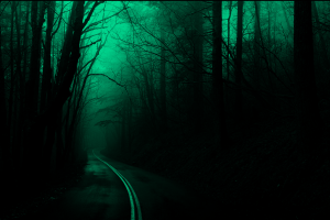 forest, Trees, Road, Dark, Nature, Spooky