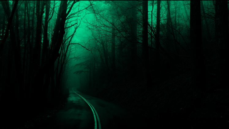 forest Trees Road Dark  Nature  Spooky Wallpapers  HD  