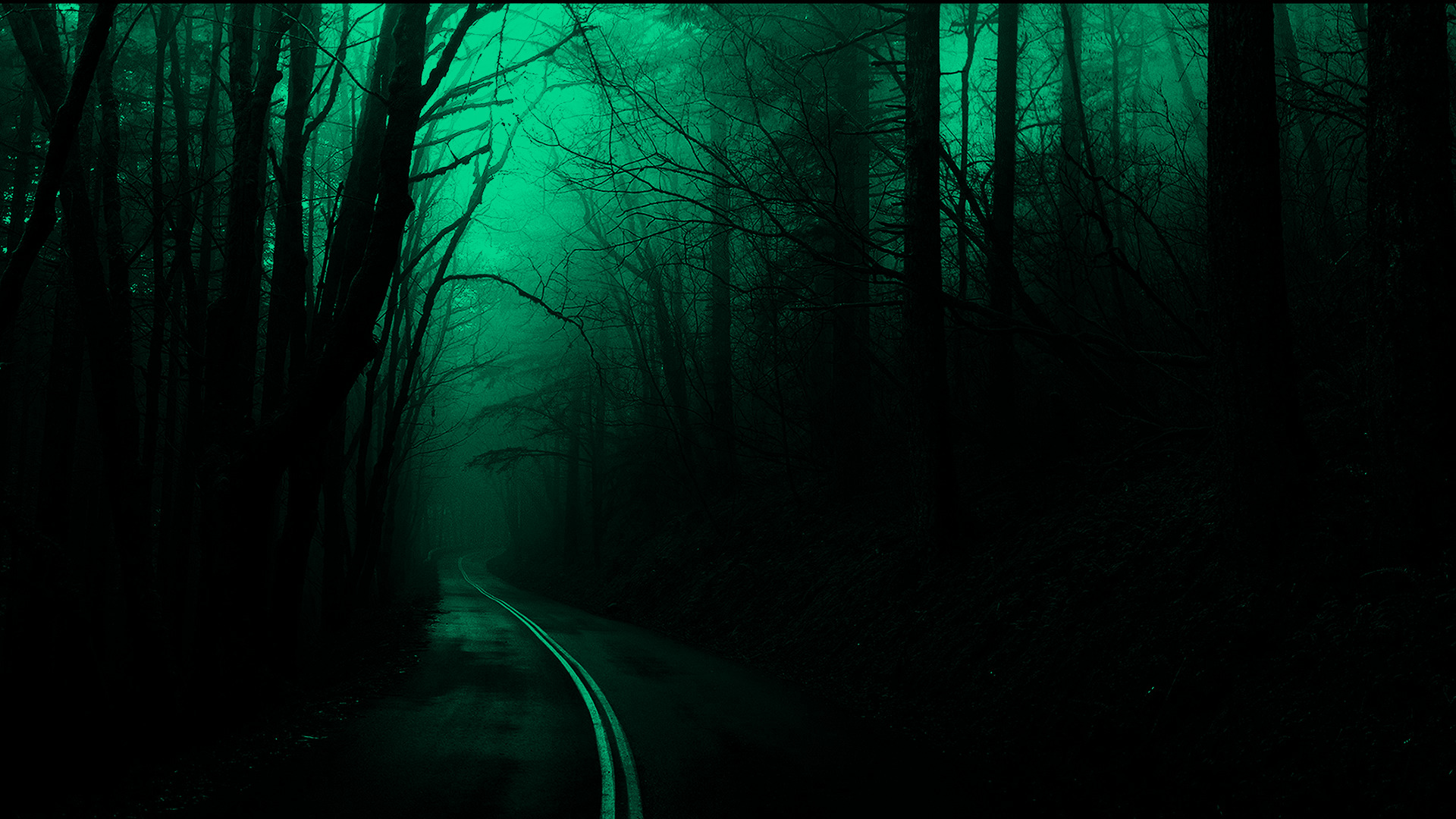 forest, Trees, Road, Dark, Nature, Spooky Wallpapers HD / Desktop and