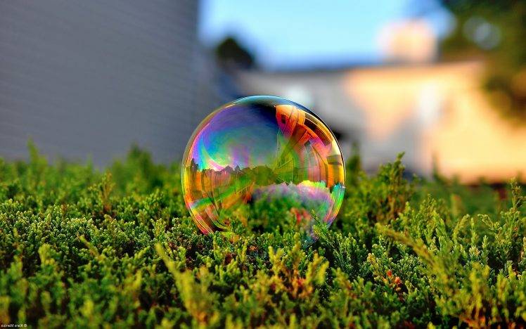 bubbles, Nature HD Wallpaper Desktop Background