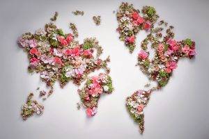 world, Flowers, World Map