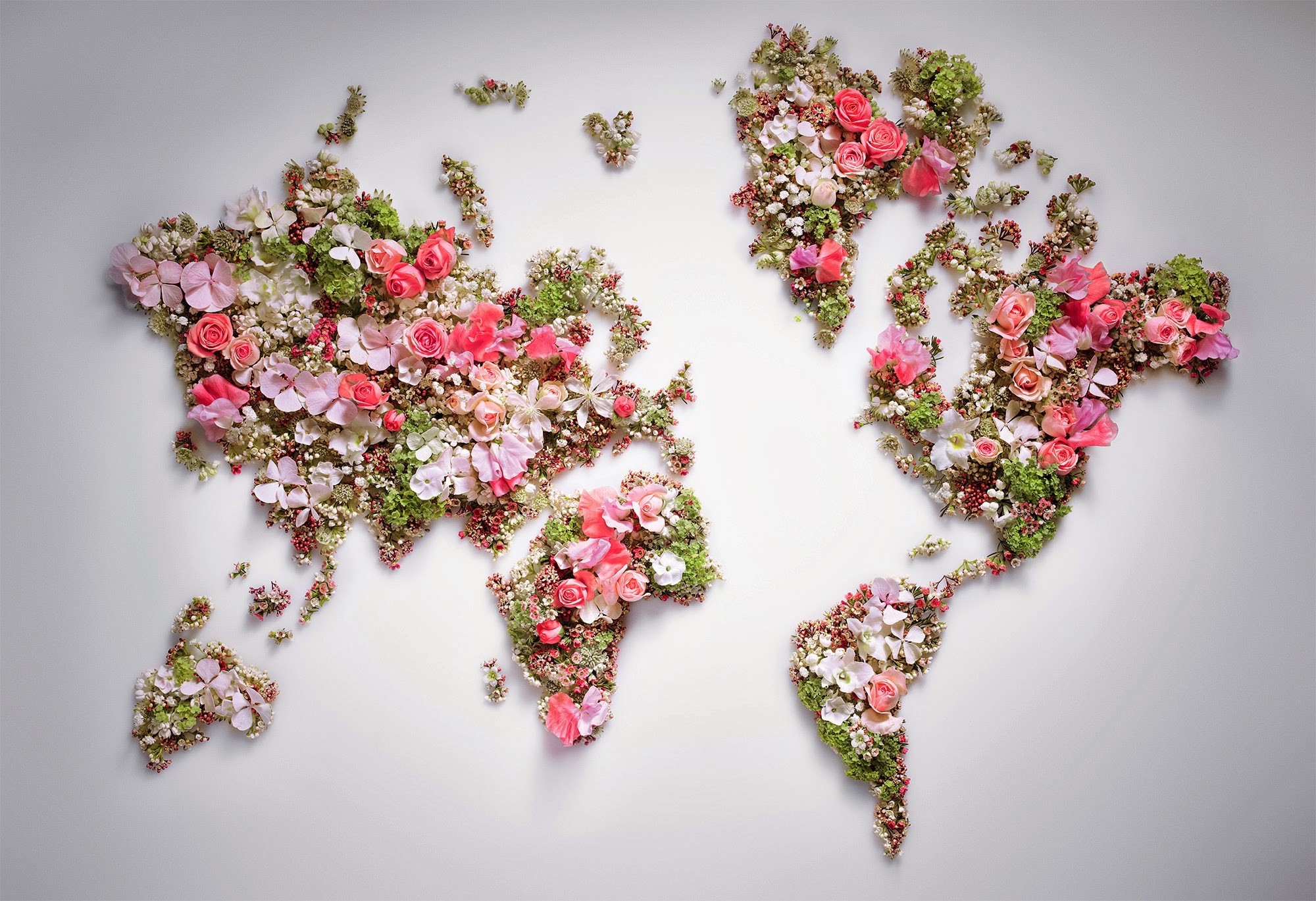 world, Flowers, World Map Wallpaper