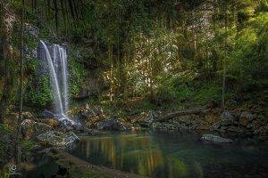 nature, Waterfall, Queensland, Australia, Curtis Falls