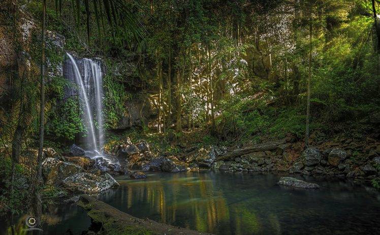 nature, Waterfall, Queensland, Australia, Curtis Falls HD Wallpaper Desktop Background