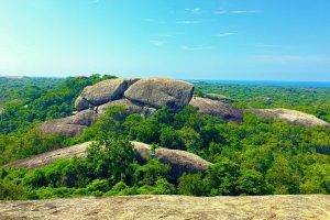 Sri Lanka, Nature, Rock, Trees, Photography, Forest