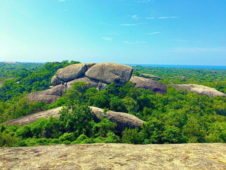Sri Lanka, Nature, Rock, Trees, Photography, Forest HD Wallpaper Desktop Background