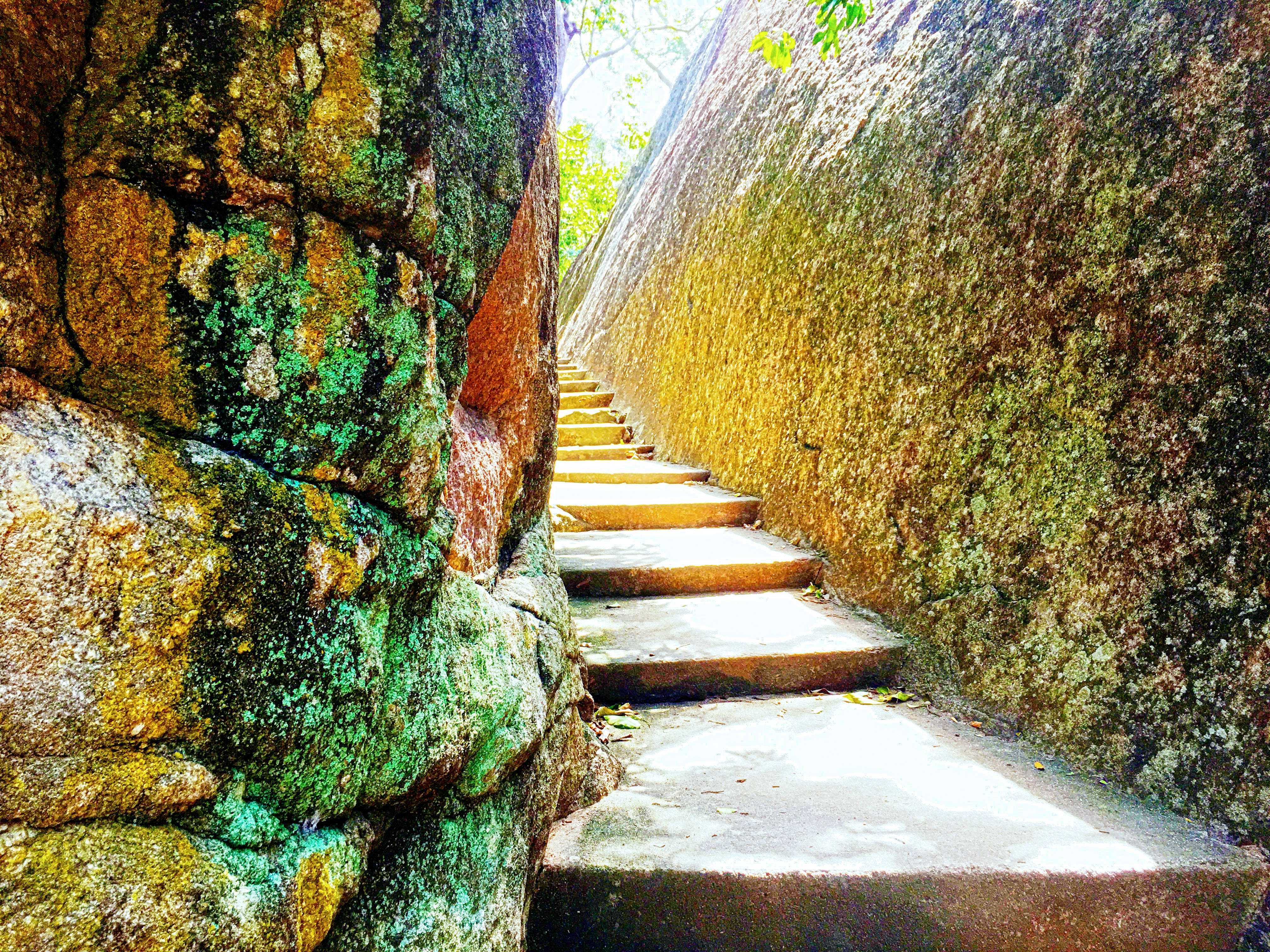 Sri Lanka, Nature, Sea, Road, Rock Stairs, Trees, Photography Wallpaper