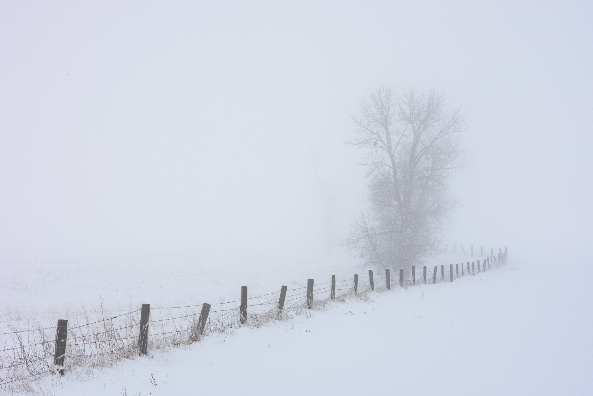 photography, Nature Wallpaper