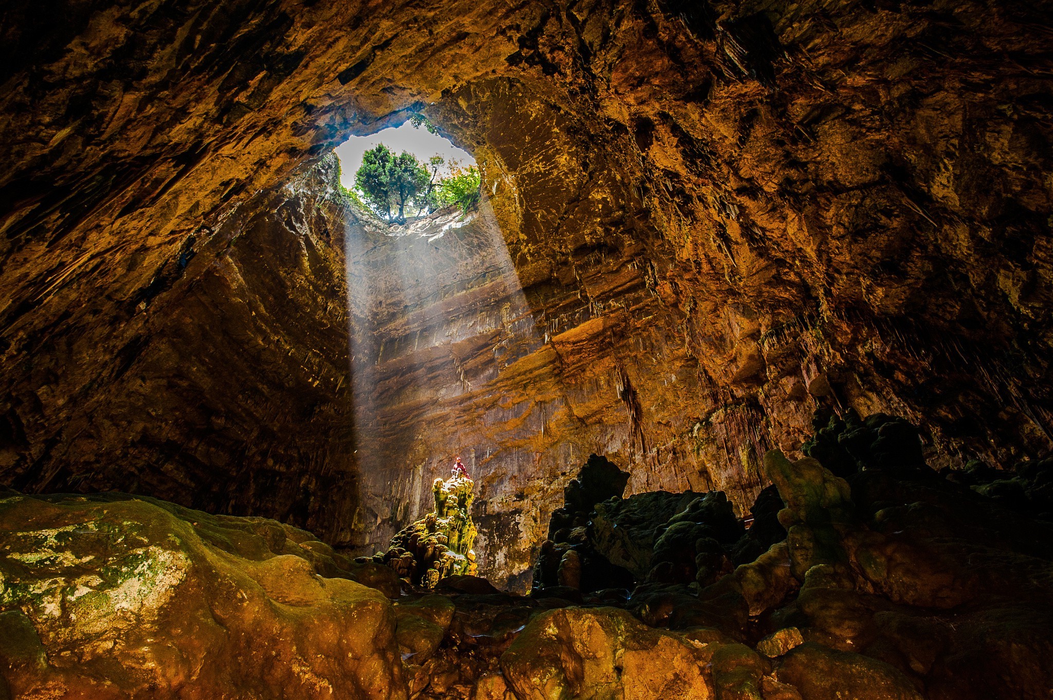 photography, Nature Wallpaper