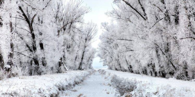 photography, Nature, Winter, Snow HD Wallpaper Desktop Background