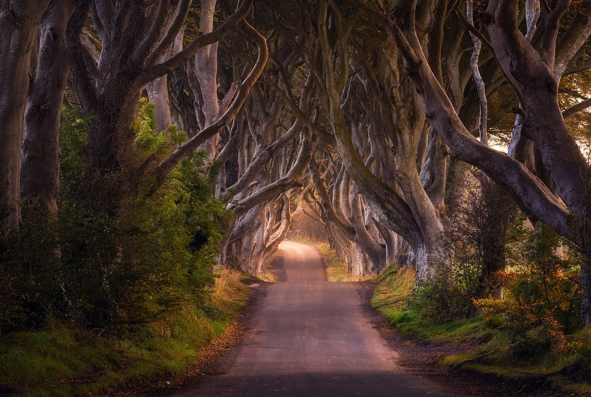 photography, Nature, Ireland Wallpaper