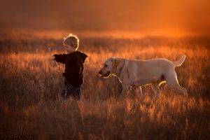 photography, Nature, Children, Dog