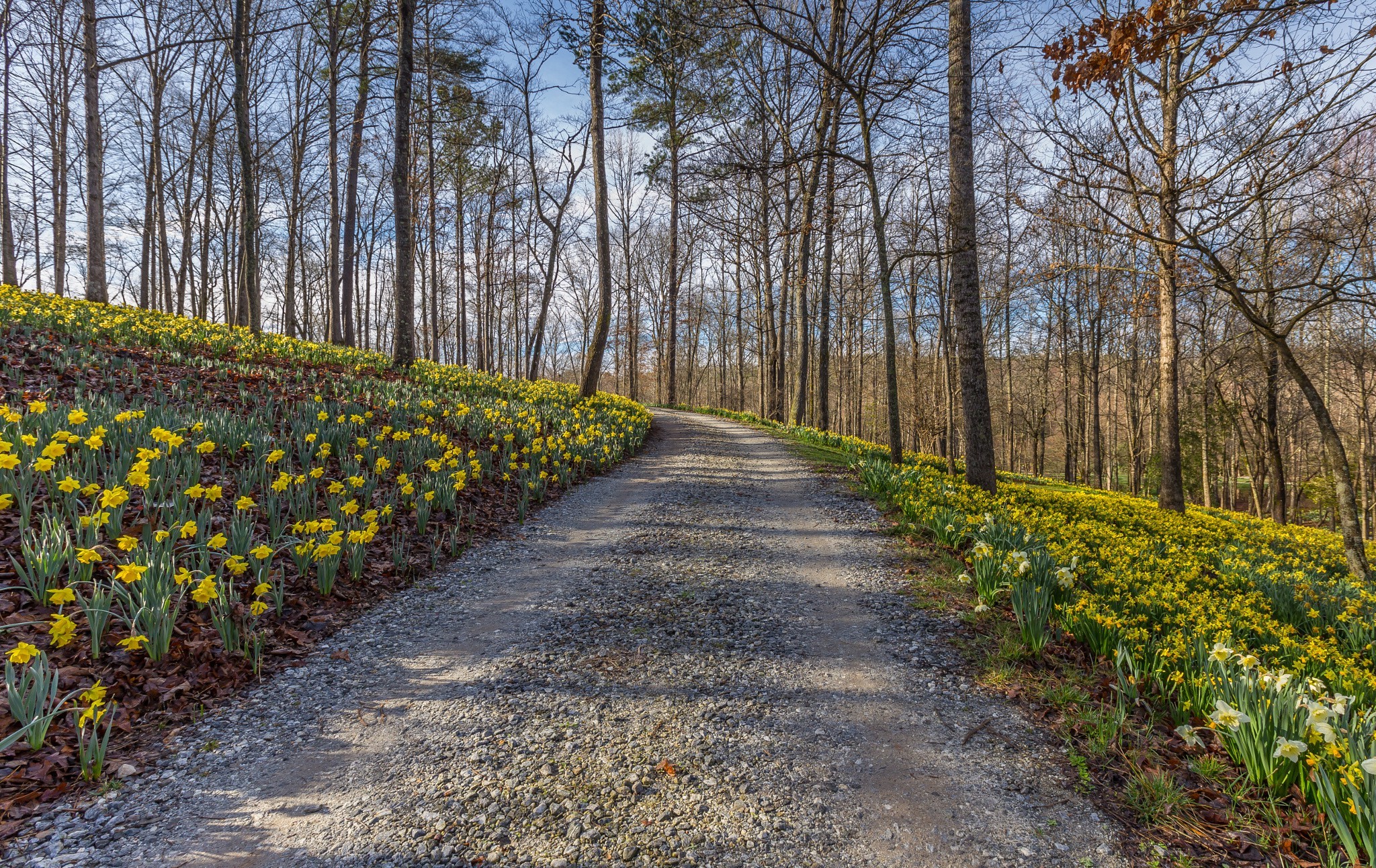 photography, Nature Wallpaper