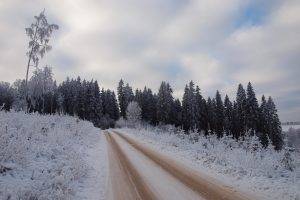 nature, Winter, Road, Trees