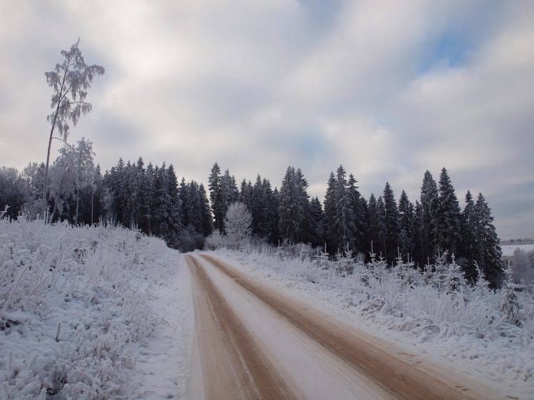 nature, Winter, Road, Trees HD Wallpaper Desktop Background
