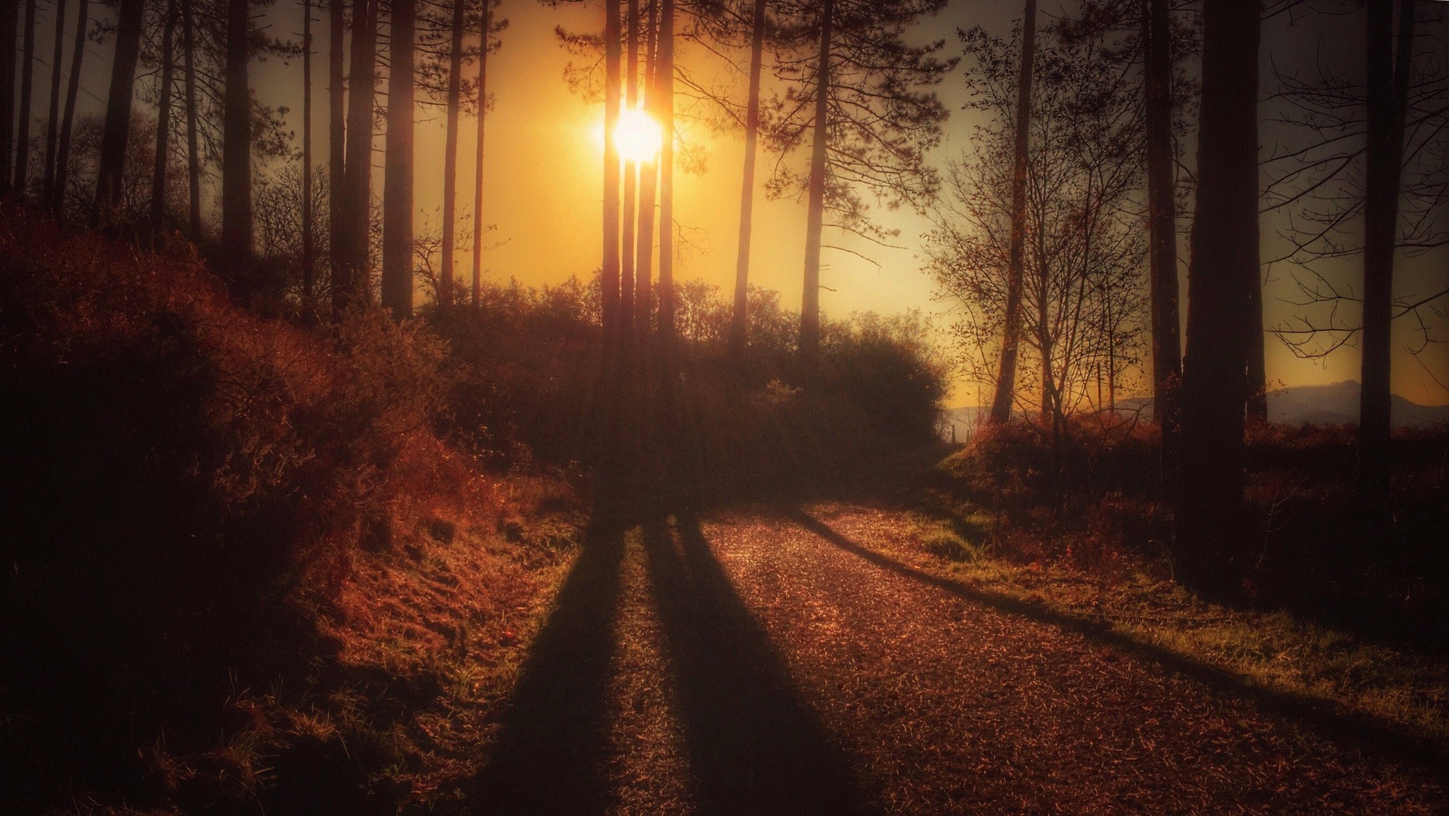 photography, Nature Wallpaper