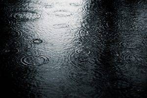 photography, Nature, Water, Rain, Water Drops
