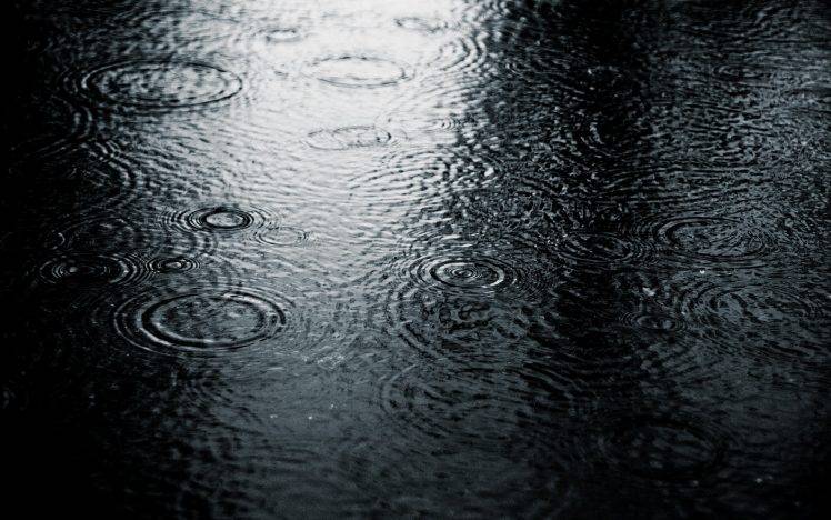 photography, Nature, Water, Rain, Water Drops HD Wallpaper Desktop Background