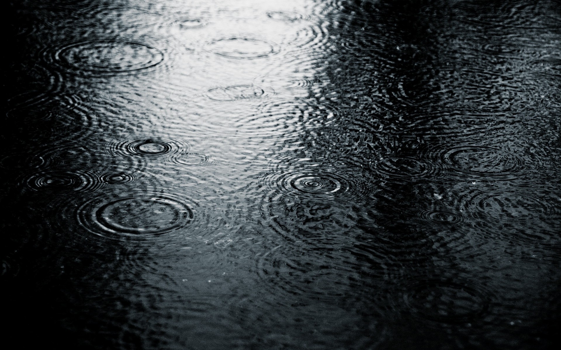 photography, Nature, Water, Rain, Water Drops Wallpaper