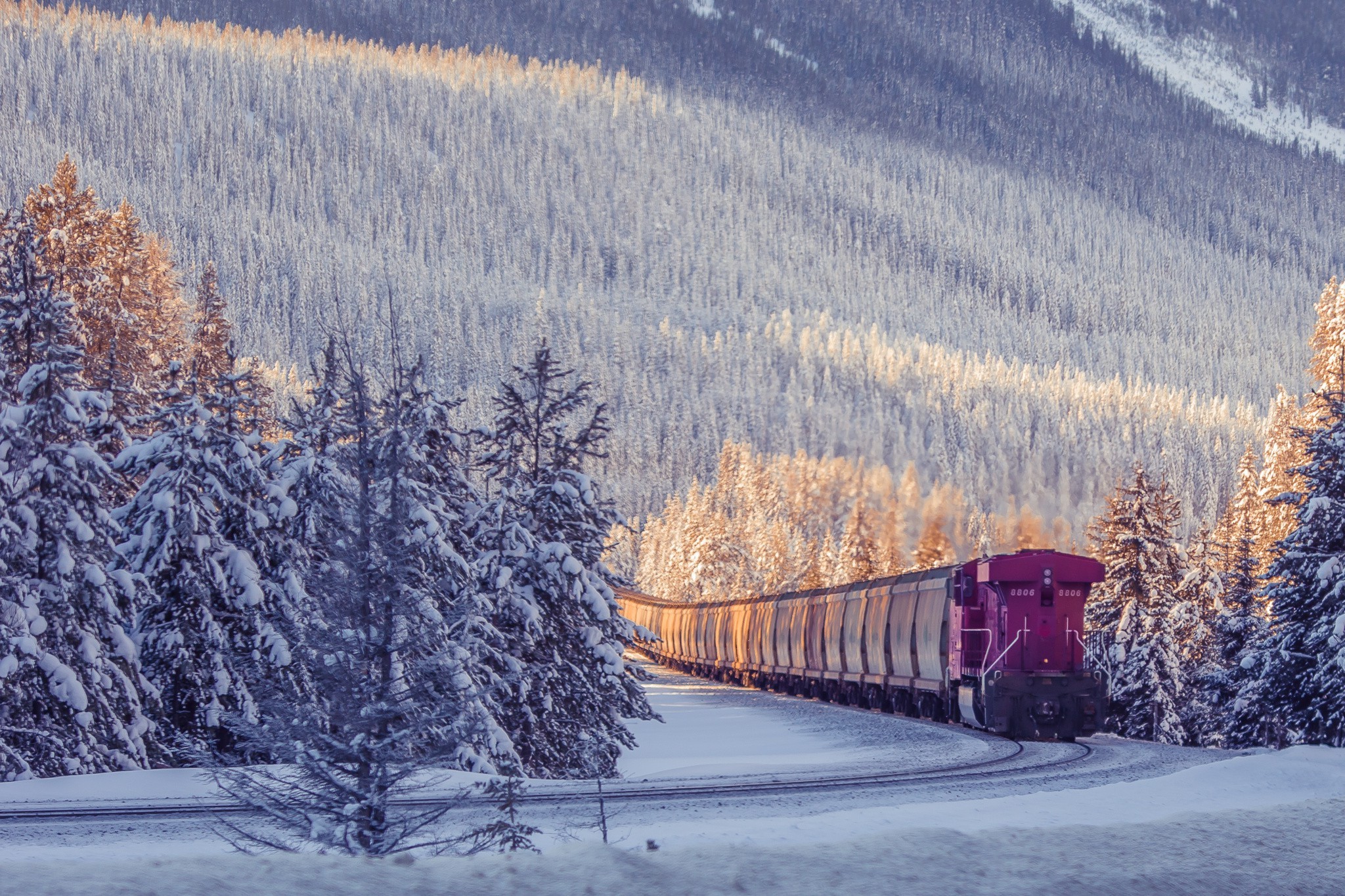 photography, Nature, Winter, Train Wallpaper