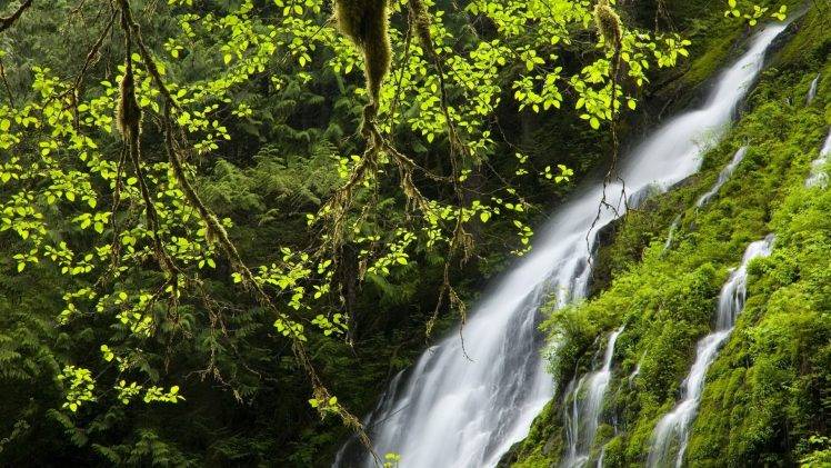 jungles, Waterfall, Nature HD Wallpaper Desktop Background
