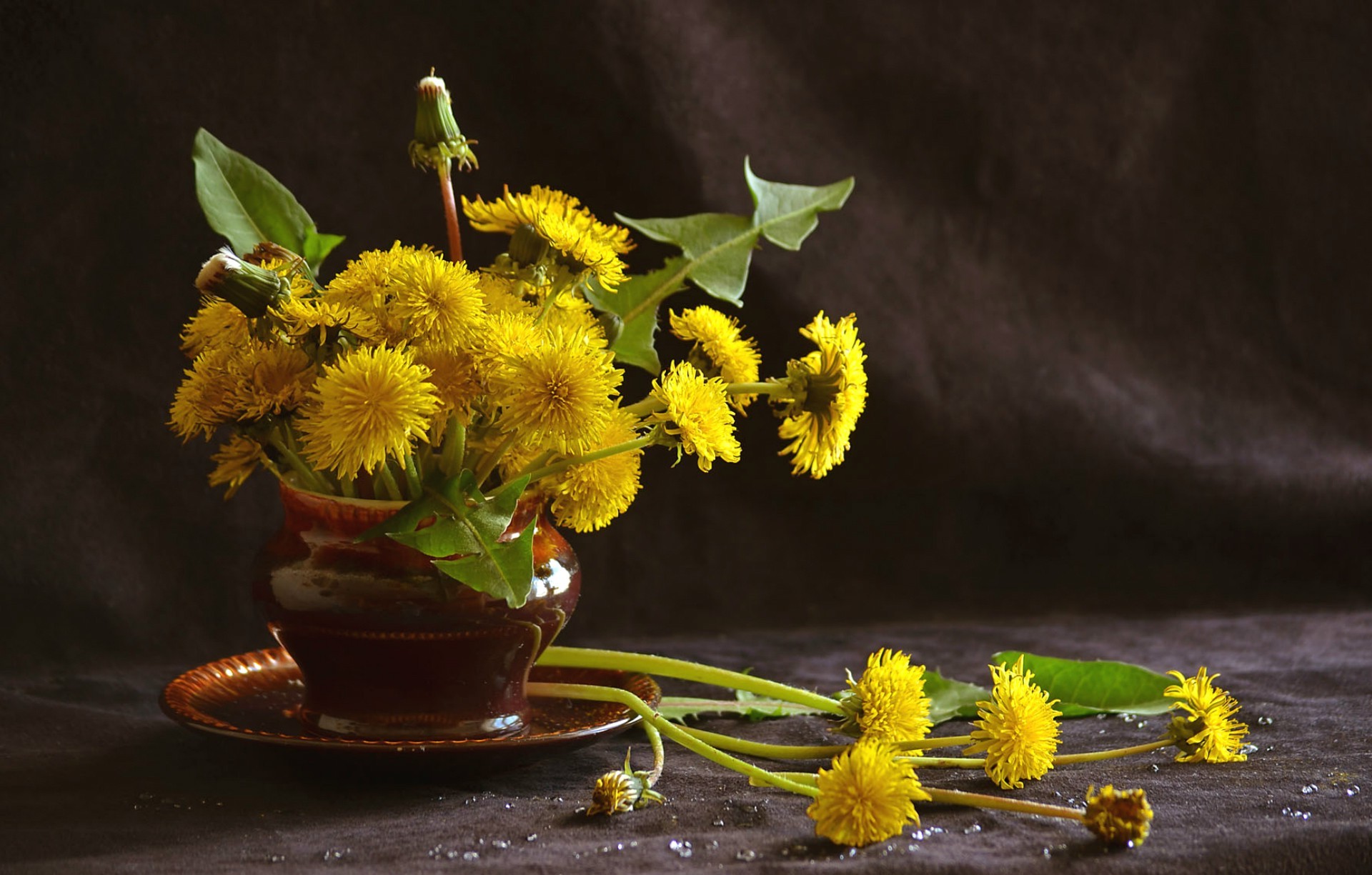 flowers Wallpaper