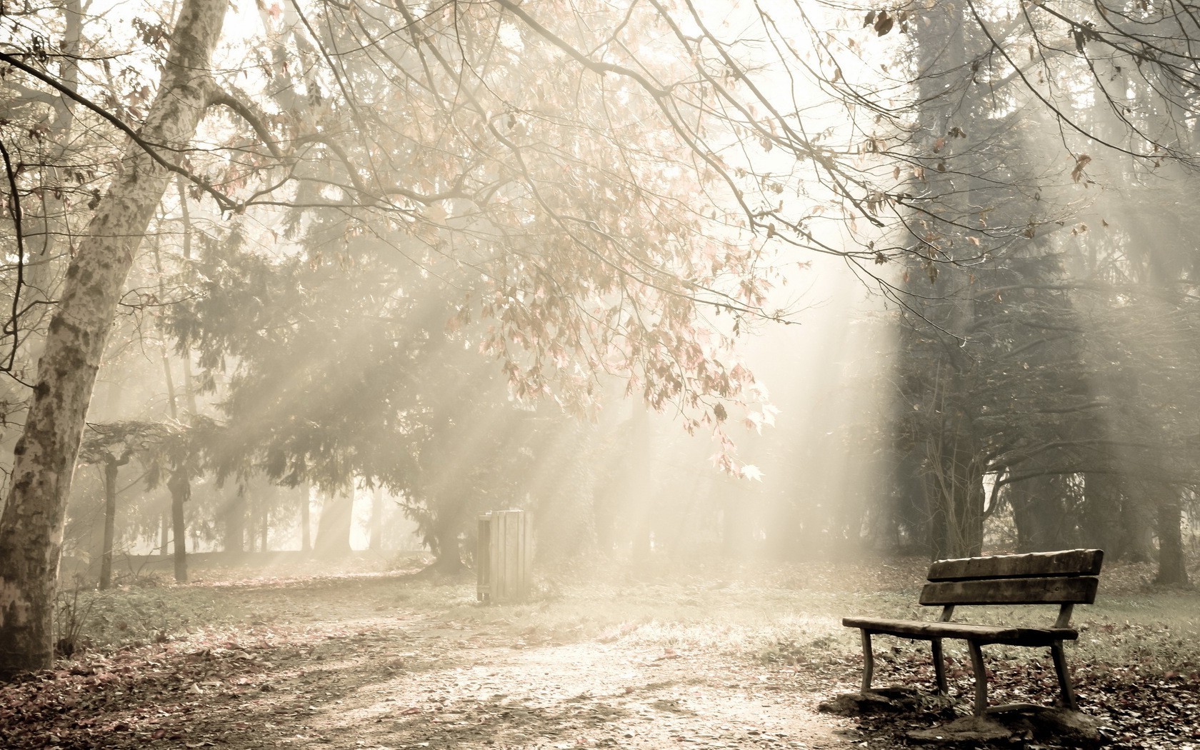 photography, Park, Nature, Sun Rays, Bench, Trees Wallpaper