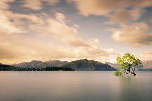 trees, Water, Mountain, Clouds, Forest, Snowy Peak, Sea, Lake, Mist, Green, Calm
