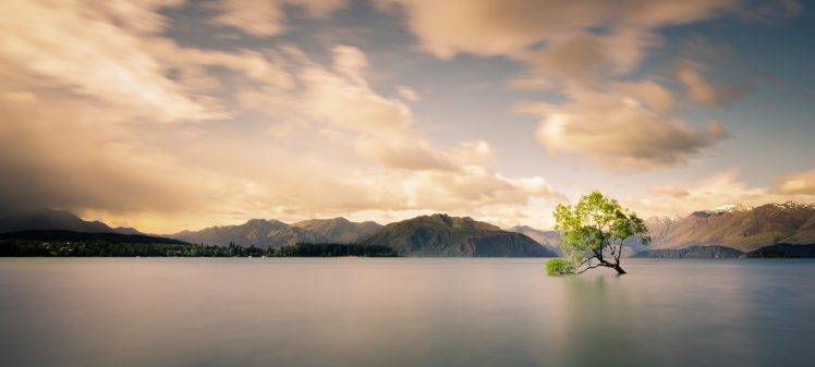 trees, Water, Mountain, Clouds, Forest, Snowy Peak, Sea, Lake, Mist, Green, Calm HD Wallpaper Desktop Background