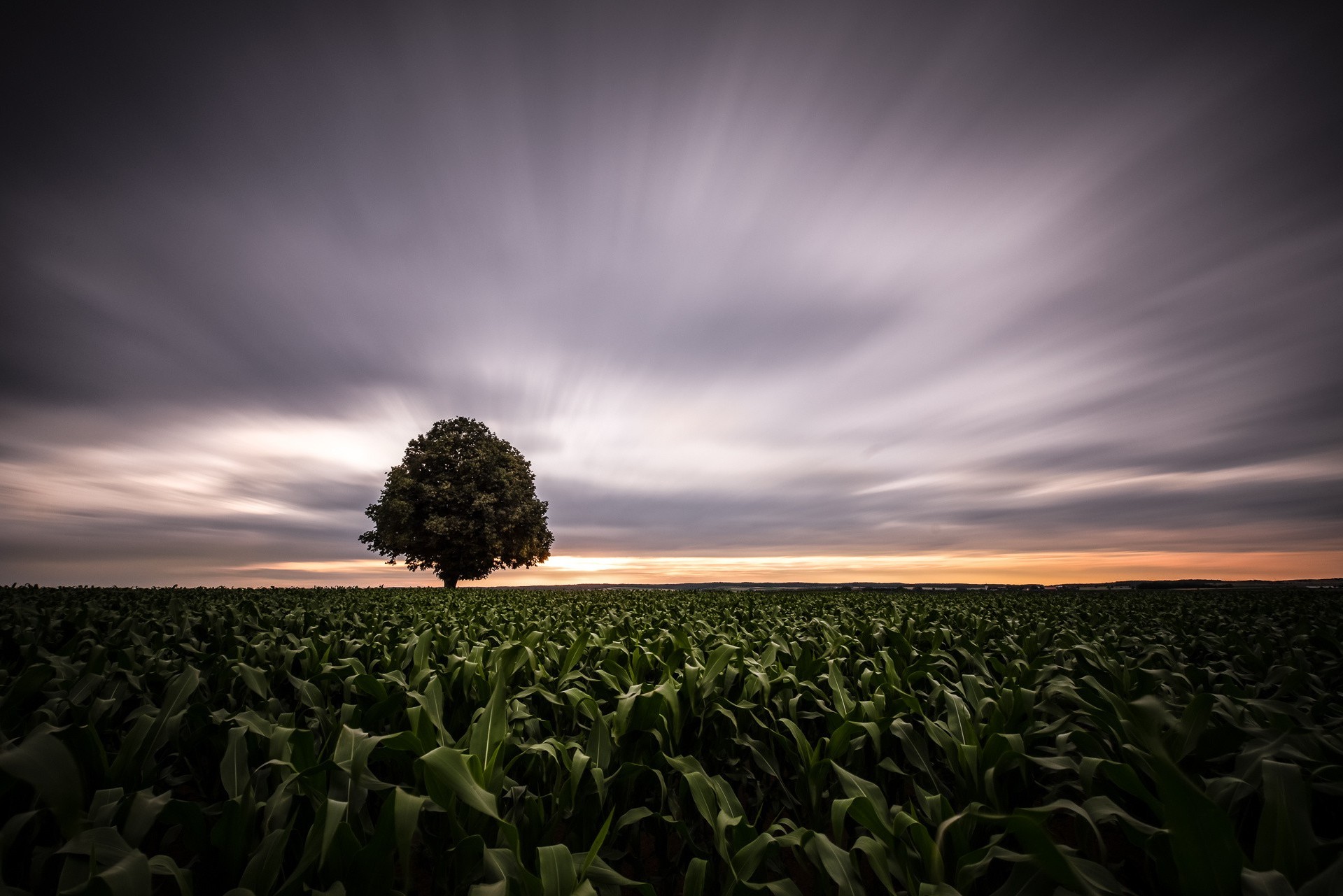 photography, Nature Wallpaper