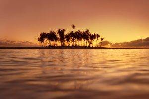 photography, Nature, Landscape, Water, Sea, Island, Palm Trees, Sunset