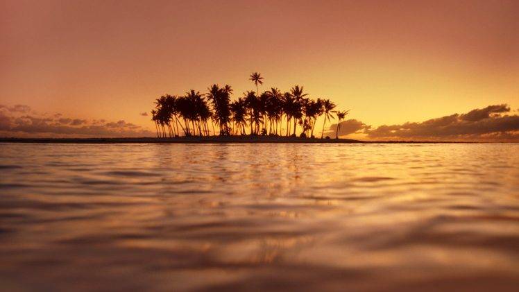 photography, Nature, Landscape, Water, Sea, Island, Palm Trees, Sunset HD Wallpaper Desktop Background