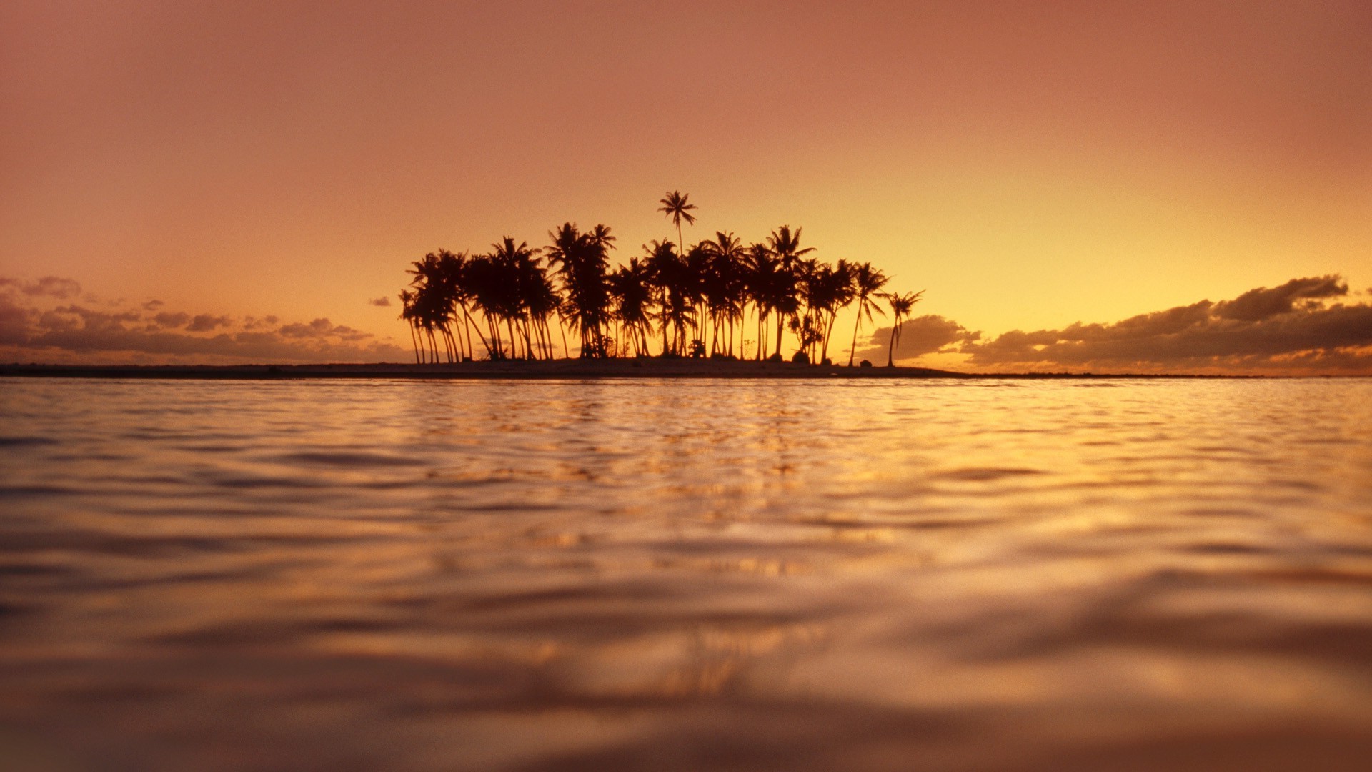 photography, Nature, Landscape, Water, Sea, Island, Palm Trees, Sunset Wallpaper