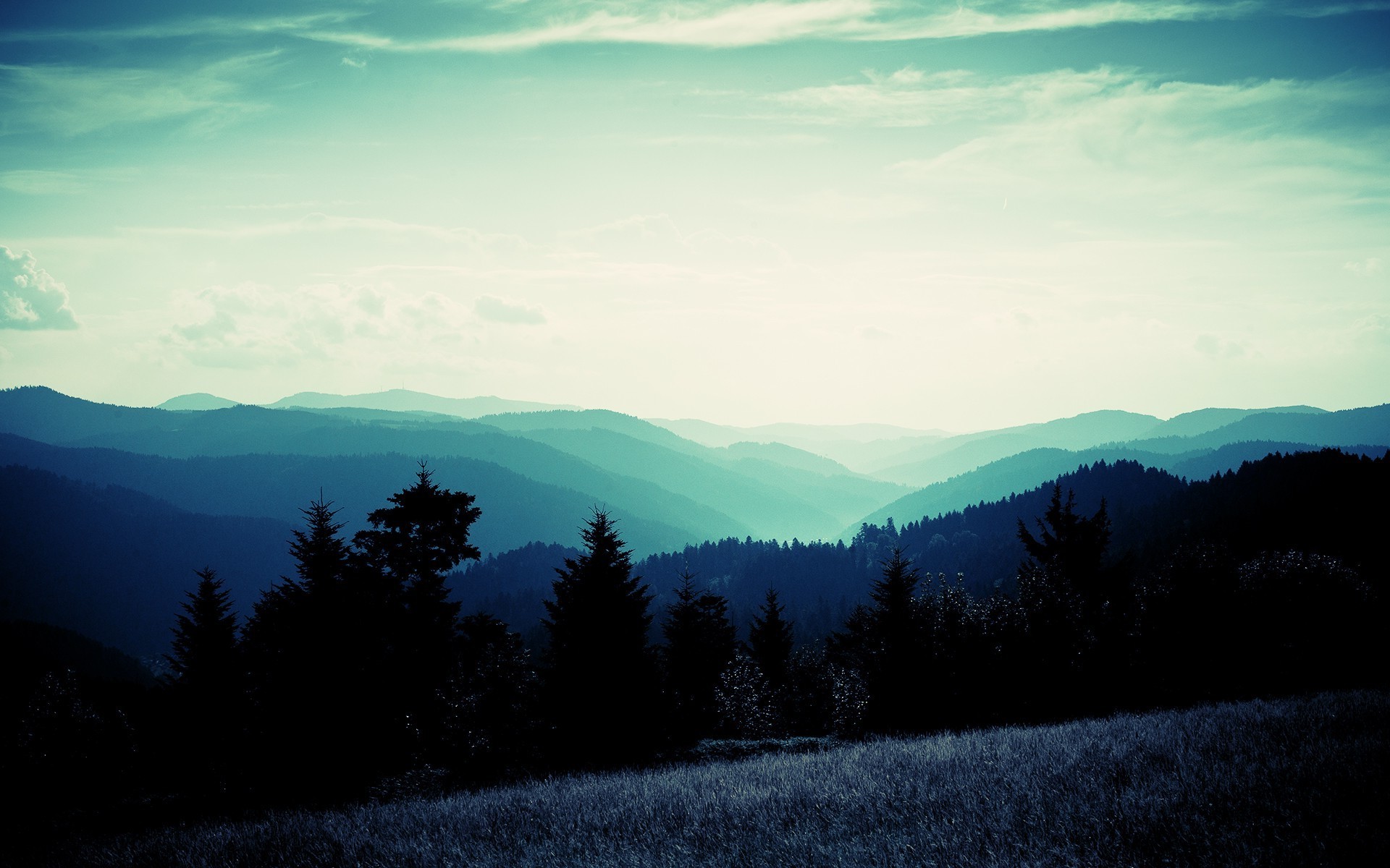 photography, Nature, Landscape, Plants, Trees Wallpaper